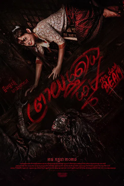 The Dark Beam poster