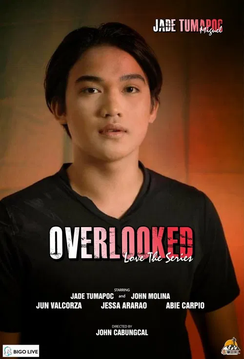 Overlooked Love the Series poster