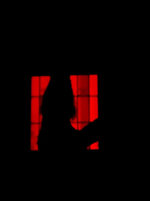 Zautoritratto poster