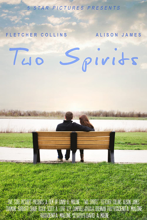Two Spirits poster