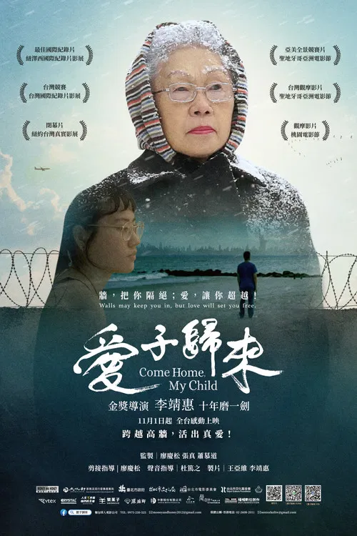 Come Home, My Child poster