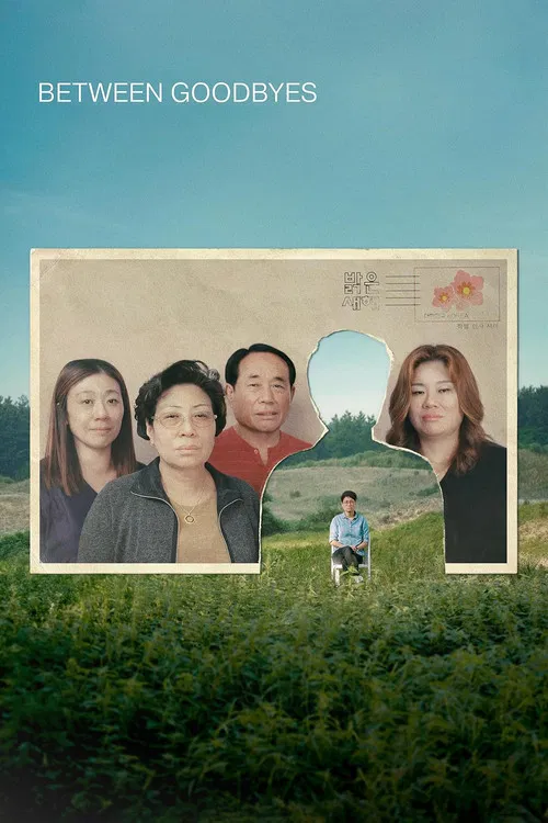 Between Goodbyes poster
