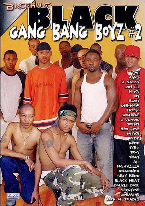 Black Gang Bang Boyz 2 poster