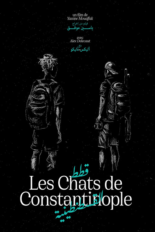 Les Chats de Constantinople poster