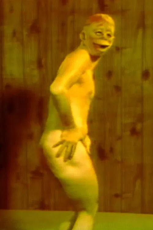 Experimental Dancer poster