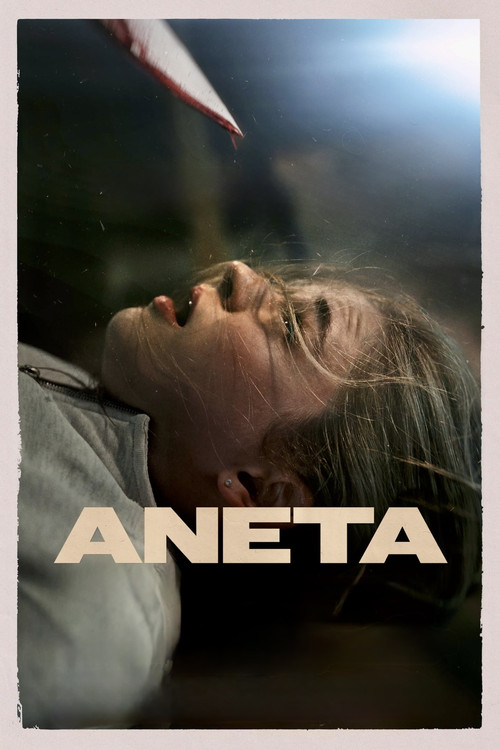 Aneta poster