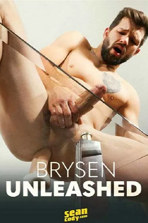 Brysen Unleashed poster