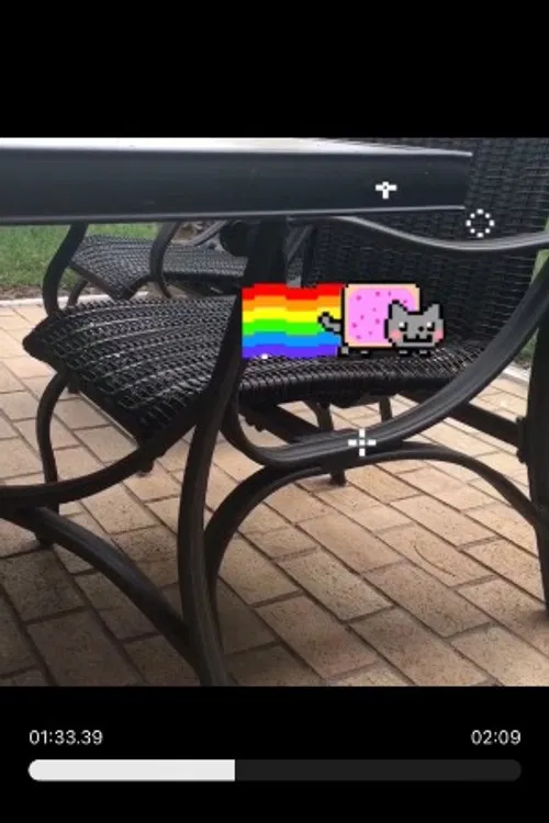 Nyan Cat profile