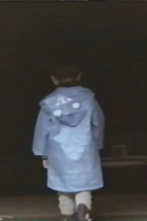 Missing Child Videotape poster