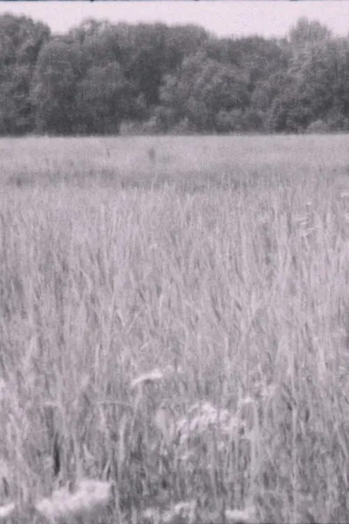 It's About Time poster