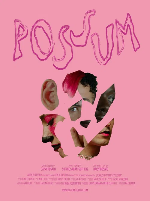 POSSUM poster