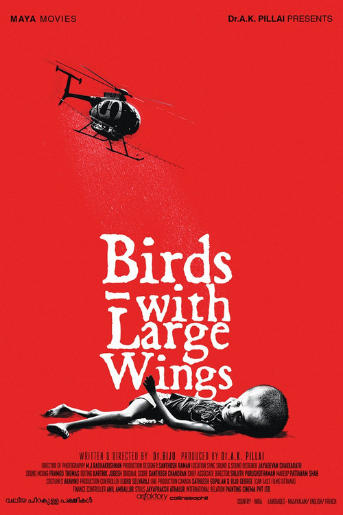 Valiya Chirakulla Pakshikal poster