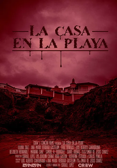 The Beach House poster