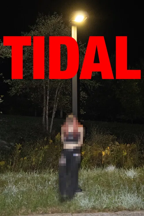 TIDAL poster