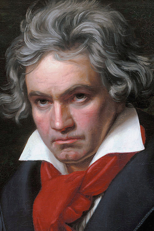 Ludwig van Beethoven profile