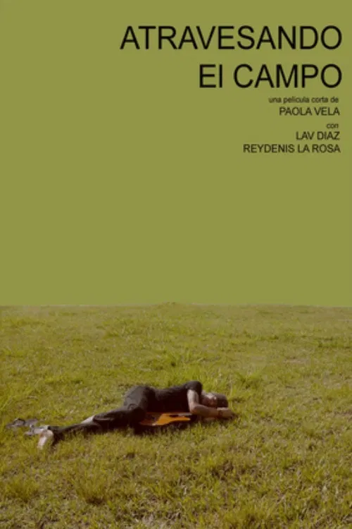 Atravesando el campo poster