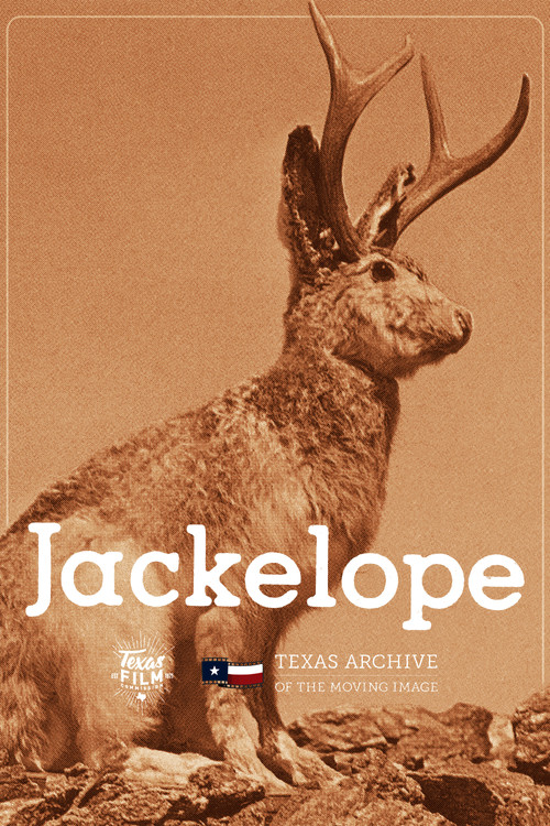 Jackelope poster