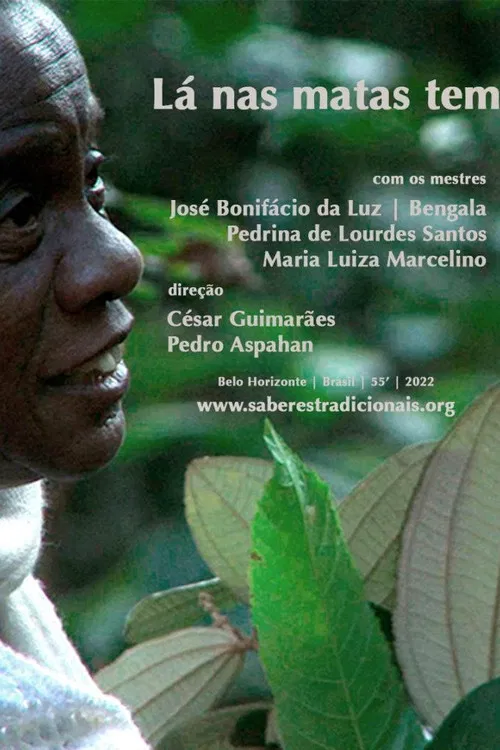 Lá nas Matas Tem poster
