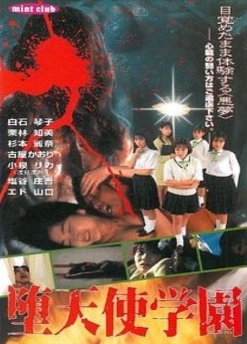 Fallen Angel Academy poster