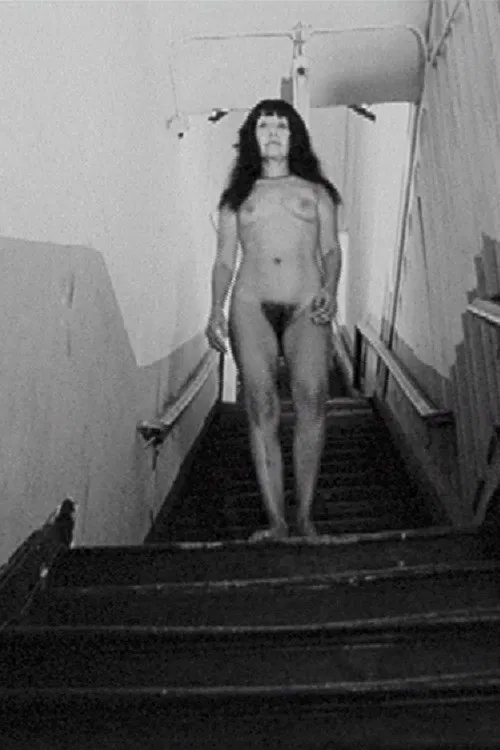 Nude Decending the Stairs poster