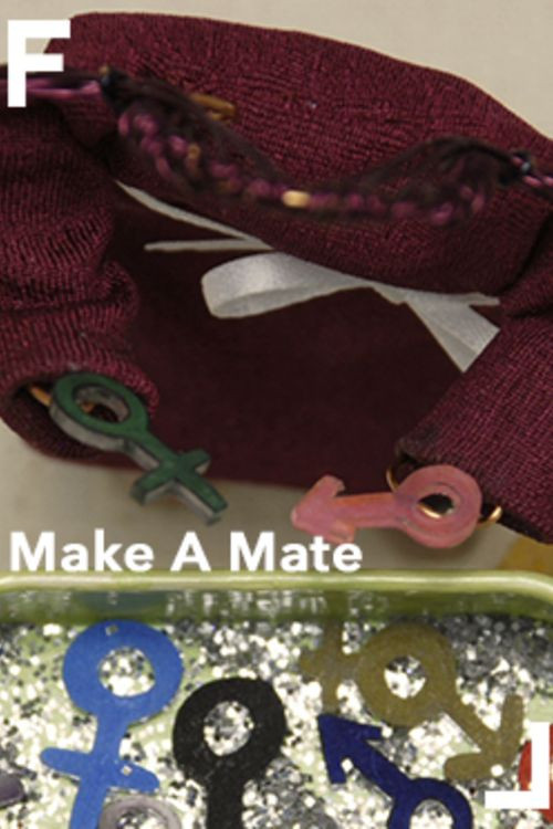 Make a Mate poster