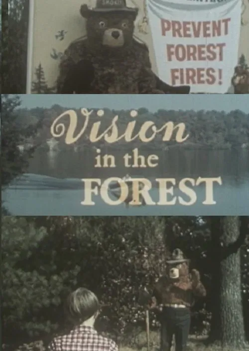 Vision In The Forest poster