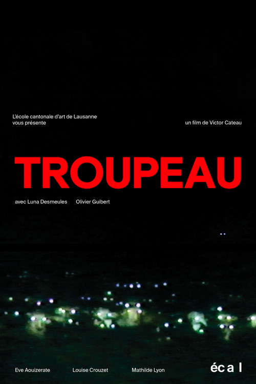 Troupeau poster