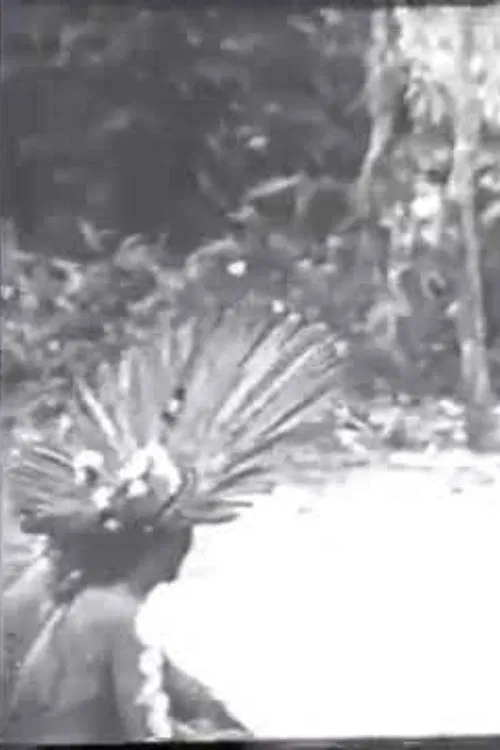 Cerimônias Fúnebres entre os Índios Bororo poster