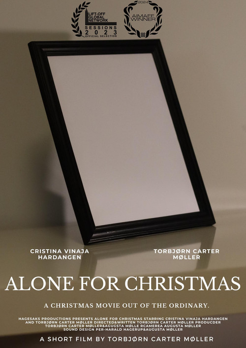 Alone for Christmas poster