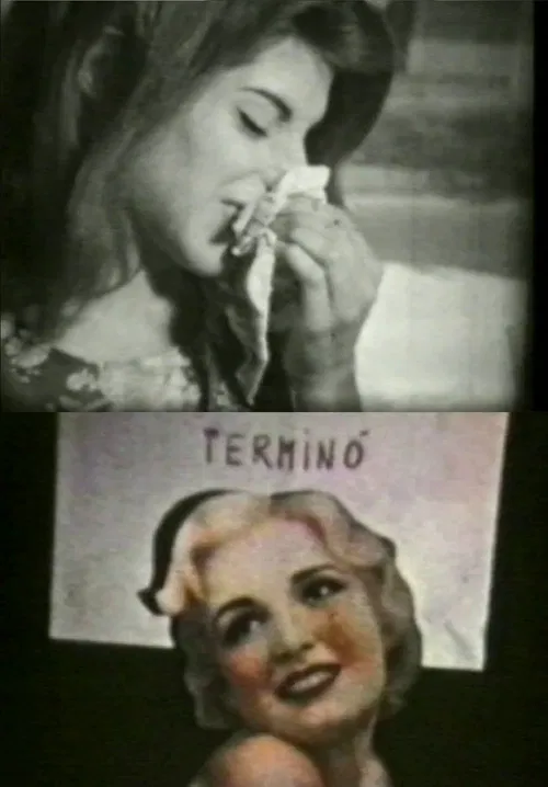 Chicas de flores poster