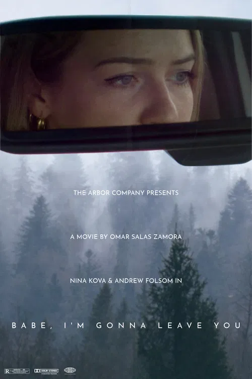 Babe, I’m Gonna Leave You poster