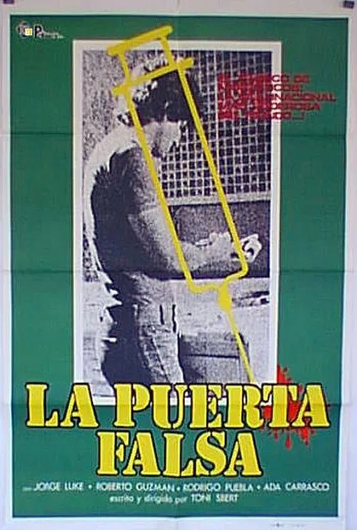 La puerta falsa poster
