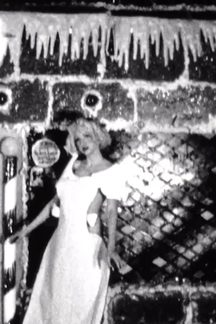 Spring and Winter poster