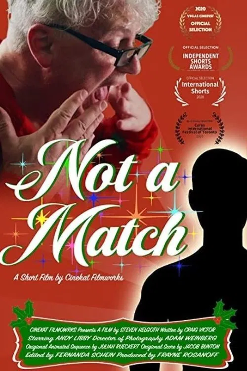 Not a Match poster
