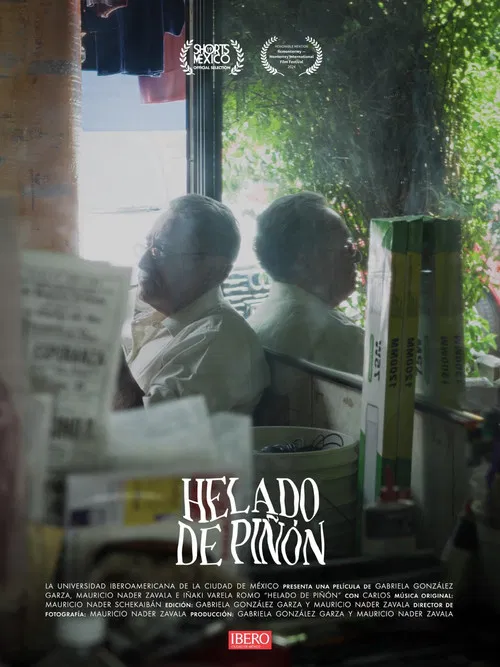 Pistachio Ice Cream poster