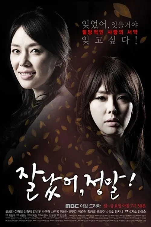 잘났어 정말 poster