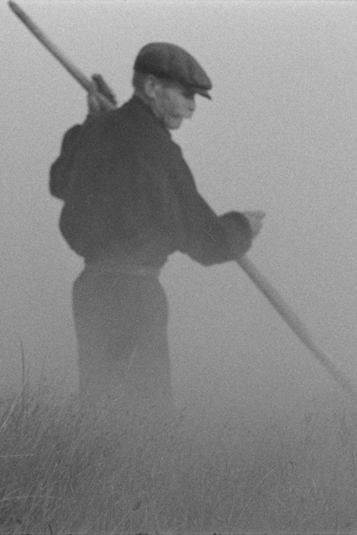 The Old Man and the Land poster