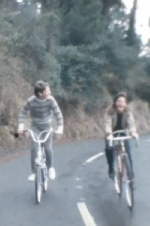 Bost mila pezetagatik poster