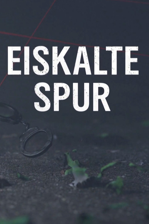 Eiskalte Spur poster
