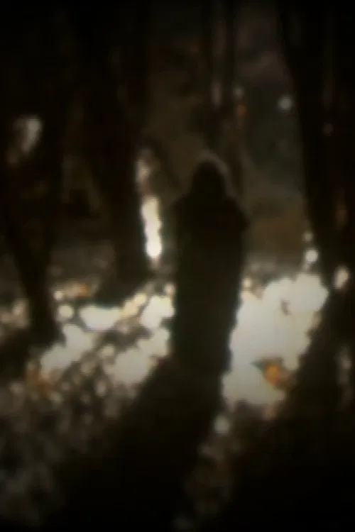 O senso dos desatinados poster