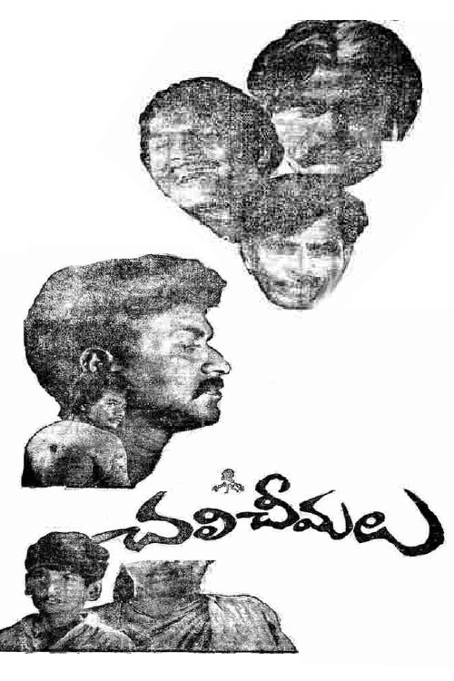 Chali Cheemalu poster