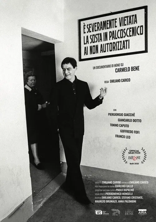 È severamente vietata la sosta in palcoscenico ai non autorizzati. Un documentario di meno su Carmelo Bene poster