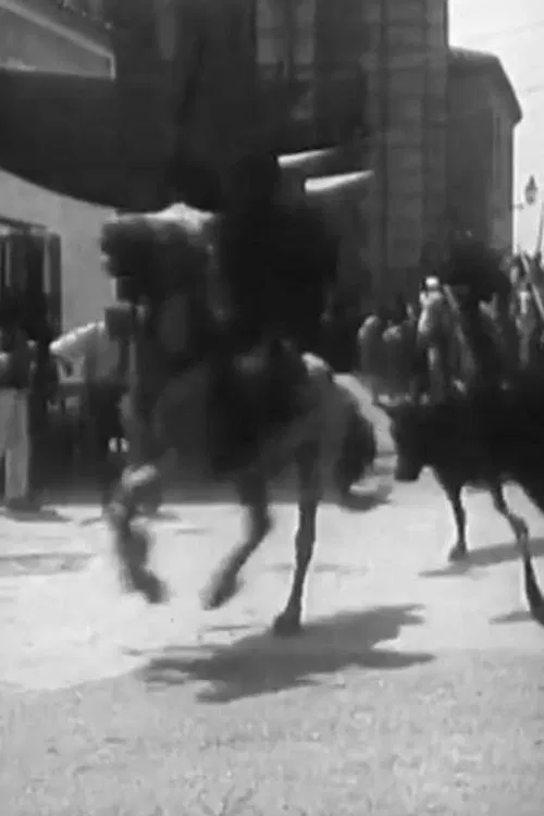 Course de taureaux provençale poster