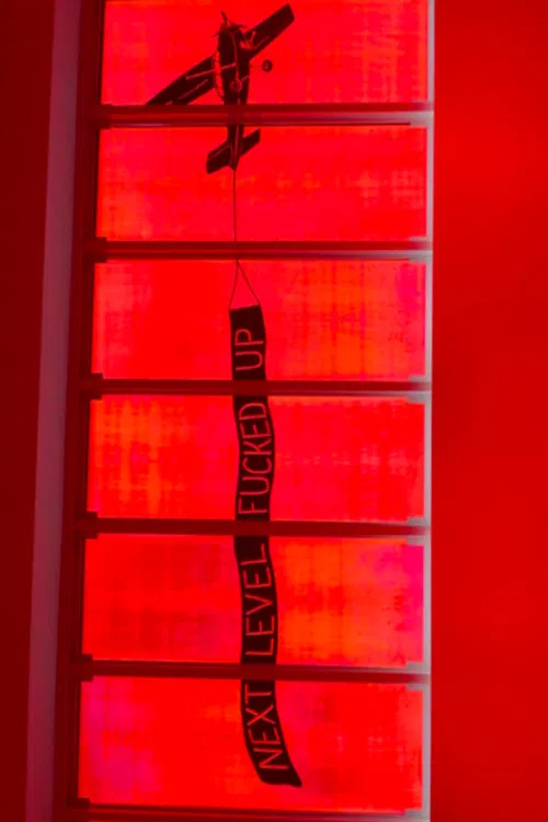 NEXT LEVEL FUCKED UP poster