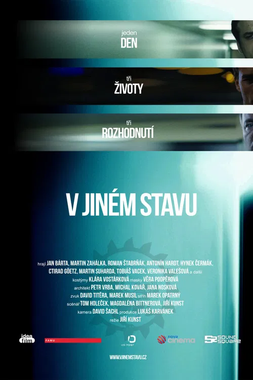 V jiném stavu poster