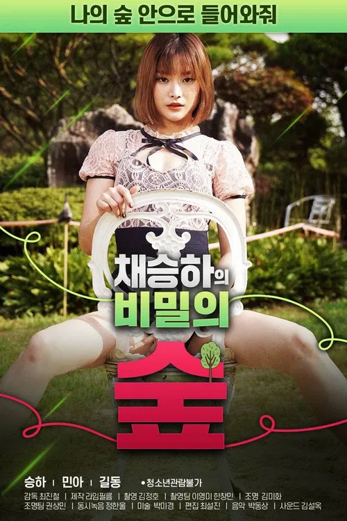 Chae Seung-ha's Secret Forest poster