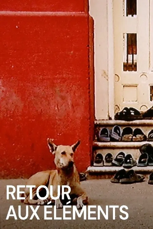 Back to the Elements poster