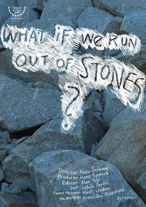 What If We Run Out of Stones? poster