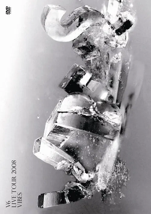 V6 LIVE TOUR 2008 VIBES poster
