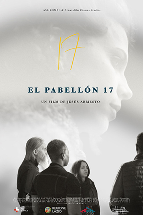 El Pabellón 17 poster